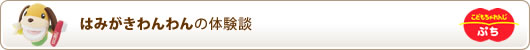 はみがきわんわんの体験談　＜こどもちゃれんじぷち＞